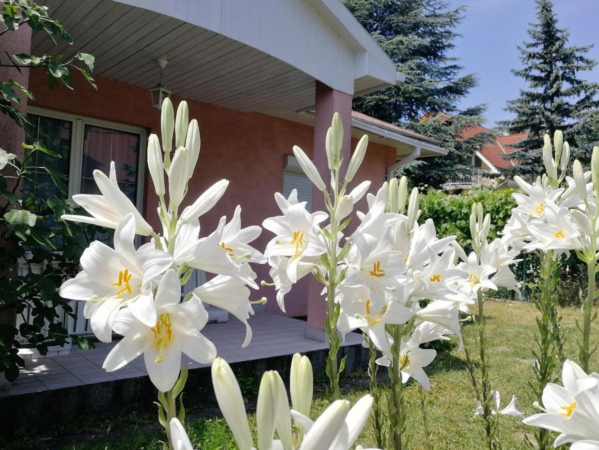 Feszek Apartmanhaz Vonyarcvashegy Dış mekan fotoğraf