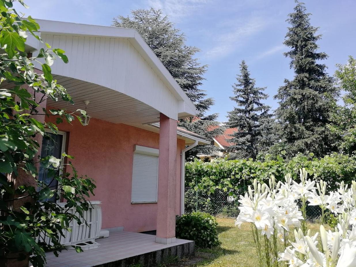 Feszek Apartmanhaz Vonyarcvashegy Dış mekan fotoğraf