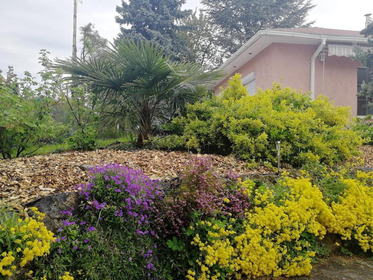 Feszek Apartmanhaz Vonyarcvashegy Dış mekan fotoğraf