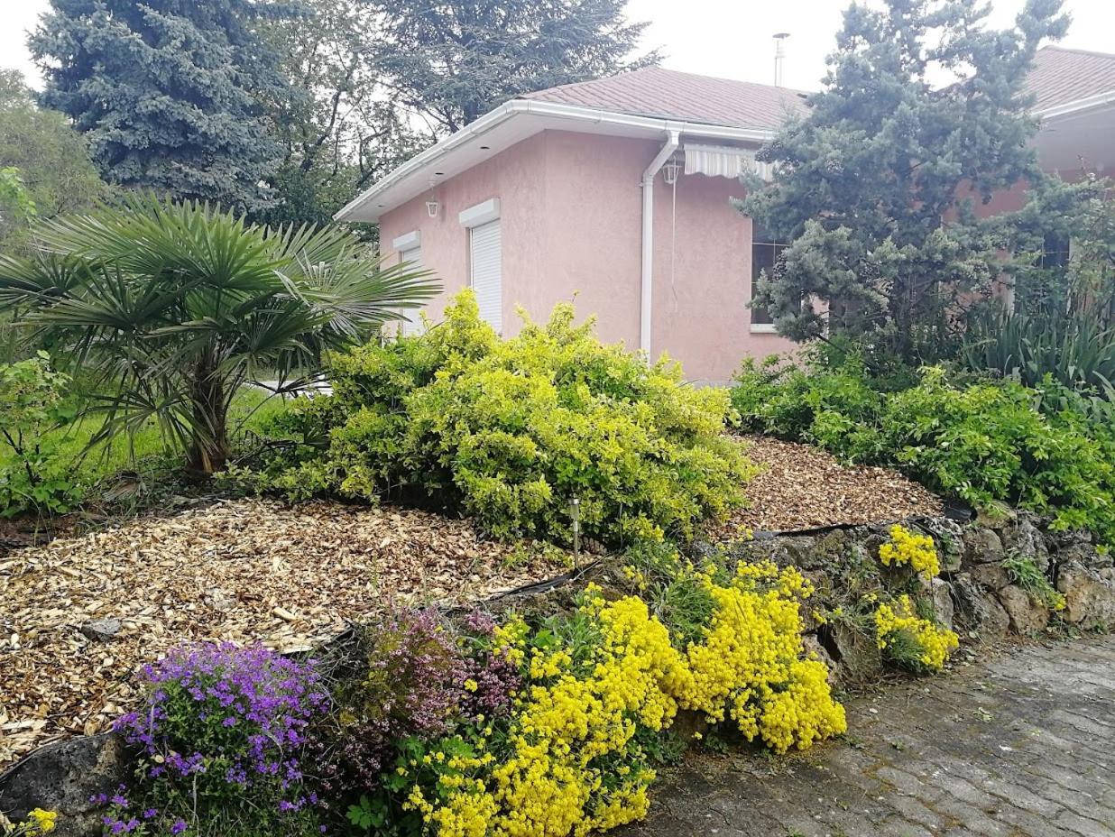 Feszek Apartmanhaz Vonyarcvashegy Dış mekan fotoğraf