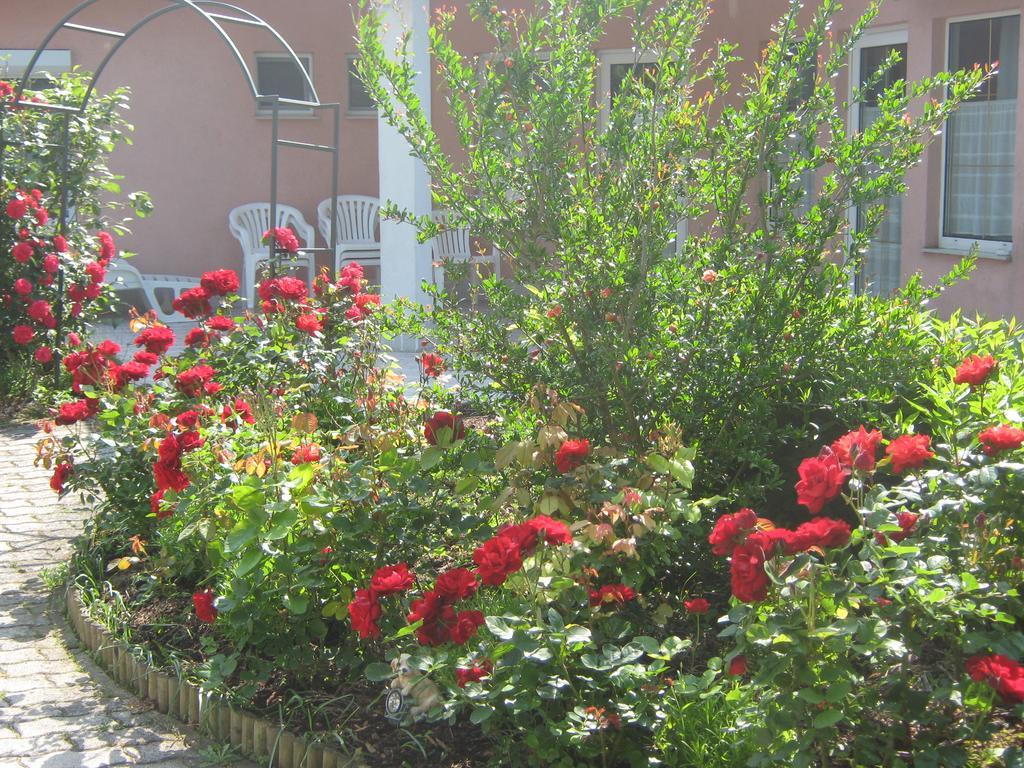 Feszek Apartmanhaz Vonyarcvashegy Dış mekan fotoğraf