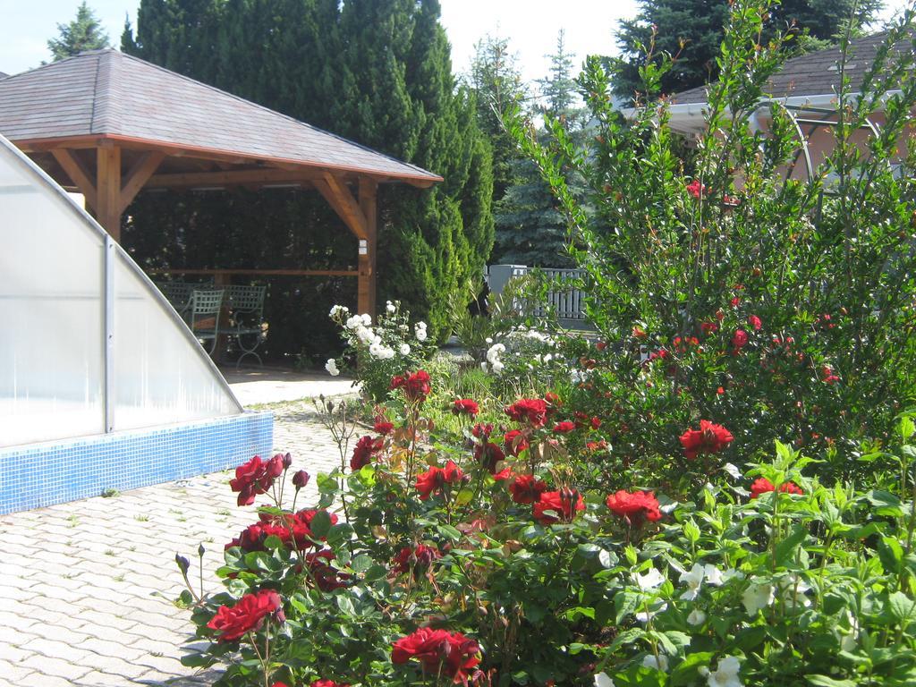 Feszek Apartmanhaz Vonyarcvashegy Dış mekan fotoğraf